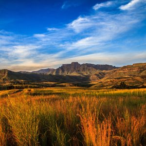 VILLAGE 4 - 28 PLOTS NOW FOR SALE